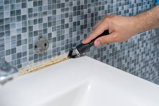 Best Same-Day Mold Removal  in Vilonia, AR